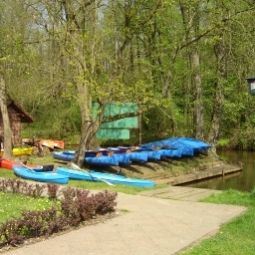 Jardin Waldhotel Eiche Ringhotel Fotos