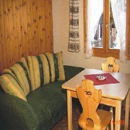  Bären Fotos