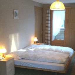  Bären Fotos