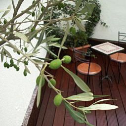 Terrasse Berial Fotos