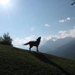 Vue Meisser Fotos
