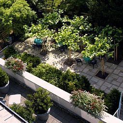 Terrasse Sandton Malie Hotel Fotos