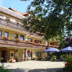 Pflug Oberkirch Baden-Württemberg