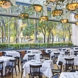 Restaurant Marquis Reforma Hotel/Spa Fotos