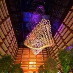Hall Hilton Anatole Fotos
