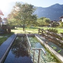 Area wellness Sattlerwirt Fotos