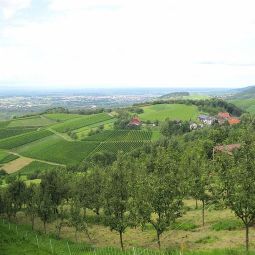 Environnement Tannenhof Fotos