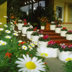 Фасад Villa Fotos