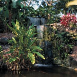 Park Shore Resort Naples (Florida)