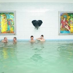 Piscina Termál Hotel Liget Érd Fotos