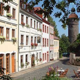 Hotelfotos Dreibeiniger Hund