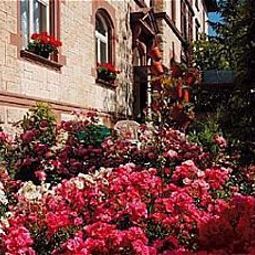 Hotelfotos Promenade
