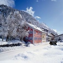 Steinbock Pontresina GR