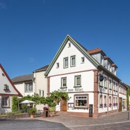 Außenansicht Adler Landhotel Fotos