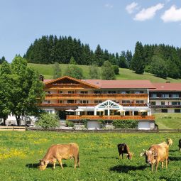 Sonnenbichl am Rotfischbach Fischen 