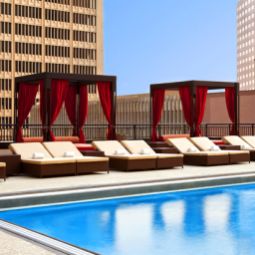 Pool Sheraton Dallas Hotel Fotos