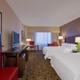 Zimmer Sheraton Dallas Hotel Fotos
