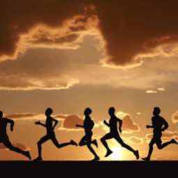  DoubleTree by Hilton Little Rock Fotos