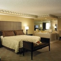 Suite New York New York Hotel and Casino Fotos