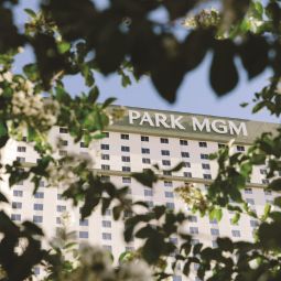 Monte Carlo Resort and Casino Las Vegas (Nevada)