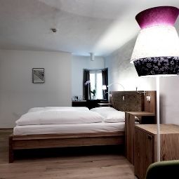  Blaue Gans arthotel Fotos