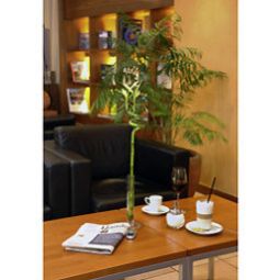 Bar Mercure Hotel Stuttgart City Center Fotos