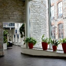 Vue intérieure PK Ilmarine Fotos