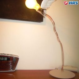 Suite Zunfthaus zu Wirthen Fotos
