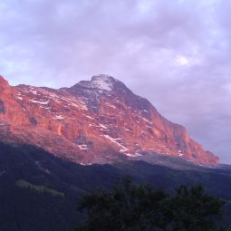 Ausblick Tschuggen Fotos
