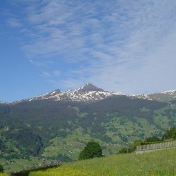 Ausblick Tschuggen Fotos