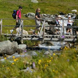 Zur Wildi Wiler/Lauchernalp Lötschental Wiler 
