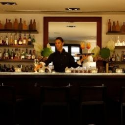 Bar Gallery Hotel Art Fotos