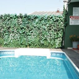 Piscina Grand Ons Fotos