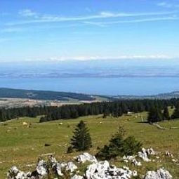 Ausblick De la Croisee Fotos