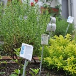 Jardin Propstei Wislikofen Fotos