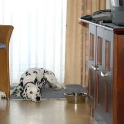  Hanseatic Wellness-Oase Fotos