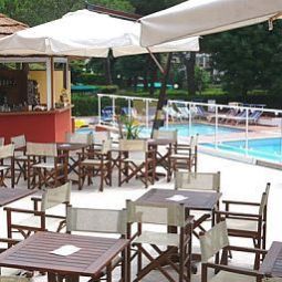 Bembo Bibione 