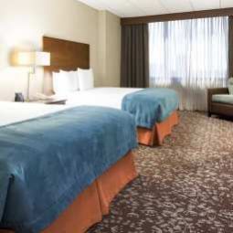 Chambre DoubleTree Suites by Hilton Houston by the Galleria Fotos