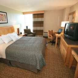 Pokój DoubleTree by Hilton Virginia Beach Fotos