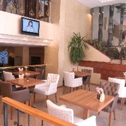 Halle Beyaz kugu Fotos