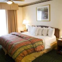 Suite Homewood Suites By Hilton Dallas-Arl Fotos