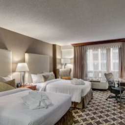 Habitación Hilton Garden Inn Washington DC Downtown Fotos