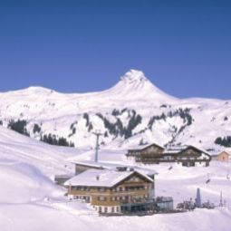  Alpenstern Fotos