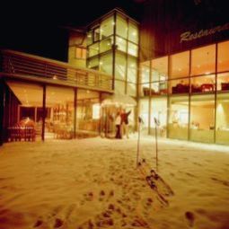  Alpenstern Fotos