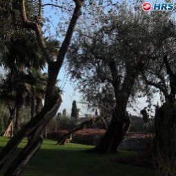 Olivi Sirmione BS