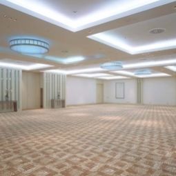 Sala congressi Crowne Plaza MARLOW Fotos