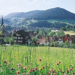  Oberdeisenhof Landhotel Fotos