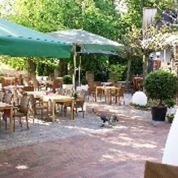 Garten Robben Fotos