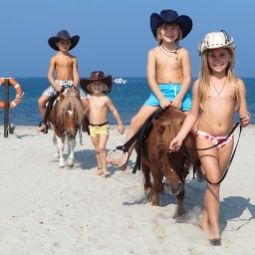  Horse Country Resort Fotos