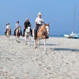  Horse Country Resort Fotos